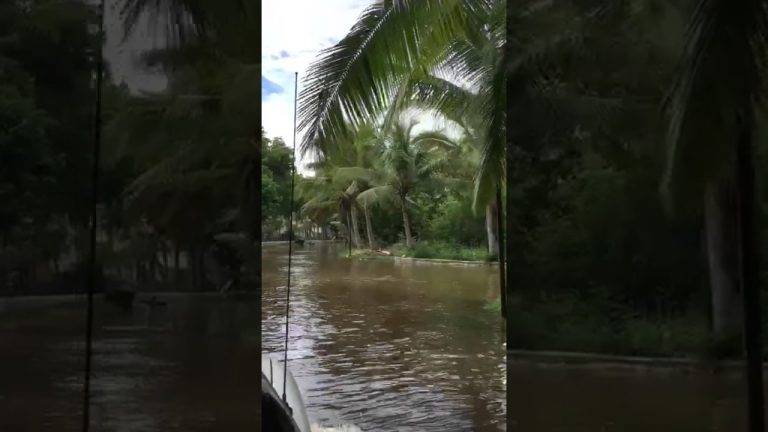 Inundaciones en Macao, Bávaro