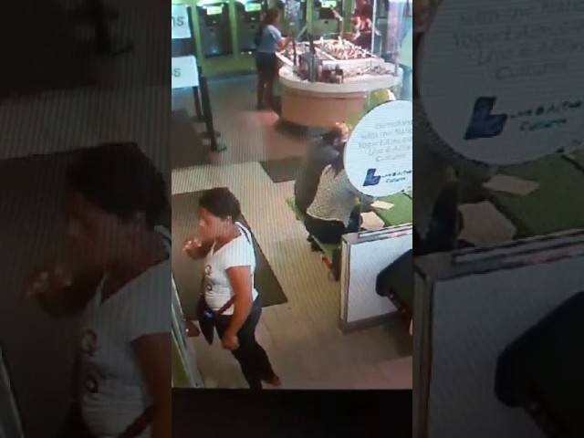 VIDEO: Dos mujeres «descuidistas» se llevan cartera en Sweet Frog Yogurt de la Churchill, al lado del Bravo.