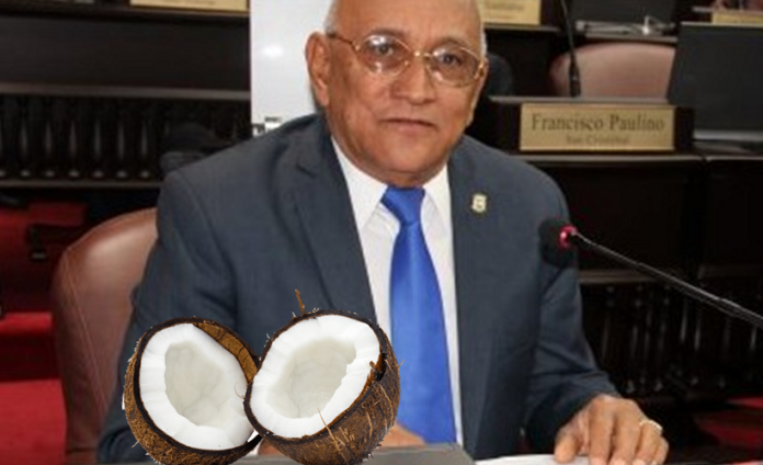 Diputados aprueban proyecto de ley que crea el Instituto Nacional del Coco «Inacoco»