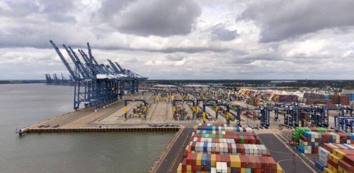 El costo de los fletes marítimos disminuye significativamente