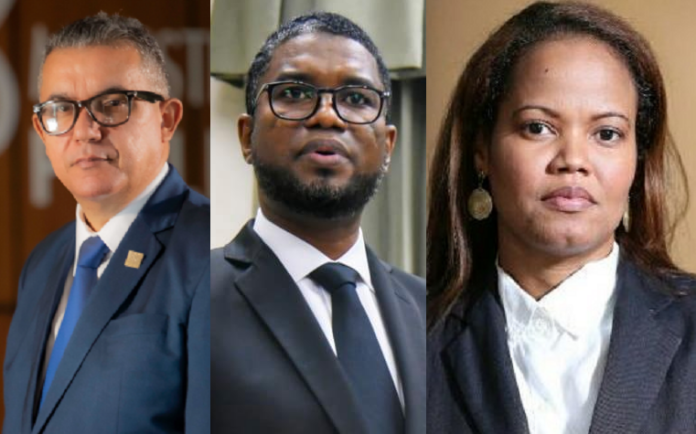 Miriam Germán designa dos procuradores para investigar denuncia contra presidente de la Cámara de Cuentas