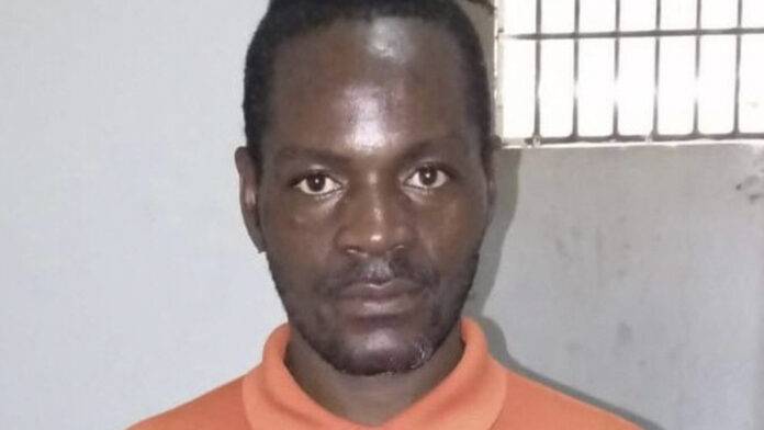 PN apresa ciudadano haitiano que “irrespetó” al presidente Abinader en Tik Tok