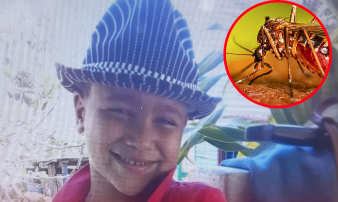 Muere niño de 9 años con síntomas de dengue