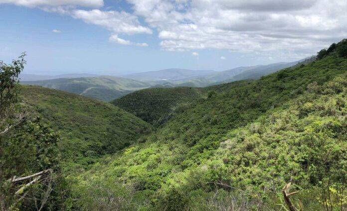 Cinco turistas españoles están extraviados en Loma de Bahoruco