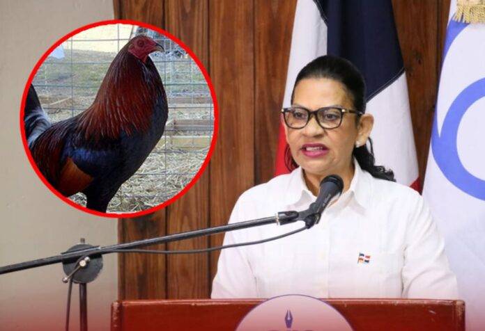 Roban de la residencia de gobernadora de Espaillat gallos valorados en más de 100,000 dólares