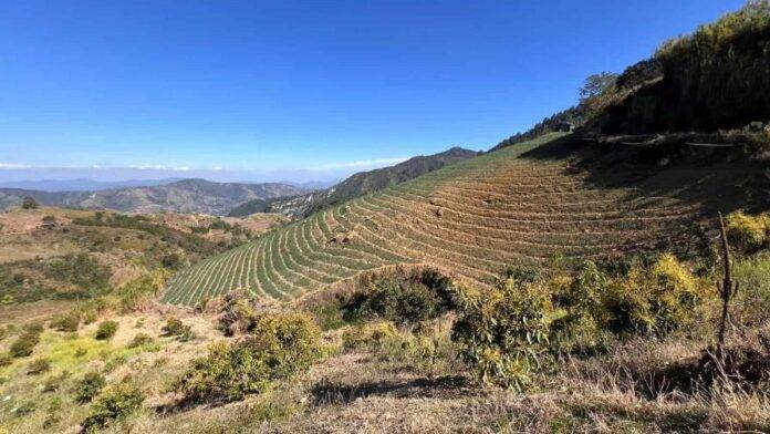 Reclaman a Medio Ambiente intensificar la protección del Sistema Nacional de Áreas Protegidas