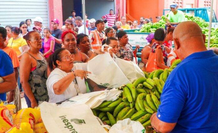 Inespre inicia compra 14 millones de unidades de plátanos a productores afectados por ventarrón