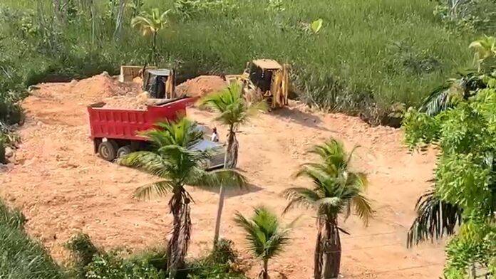 Denuncia Urgente: Relleno Ilegal de Humedales en Cosón, Las Terrenas, Samana