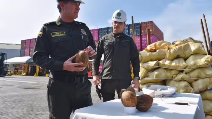 Confiscan en Colombia un Cargamento de Cocaína Diluida en Cocos Proveniente de República Dominicana