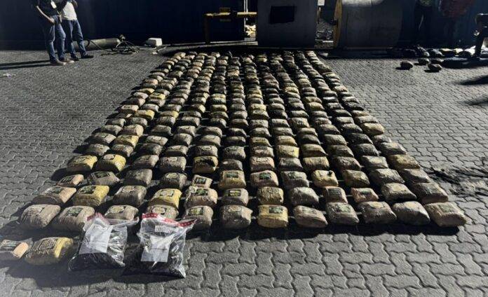 DNCD incauta 1, 261 libras de marihuana en el Puerto de Haina