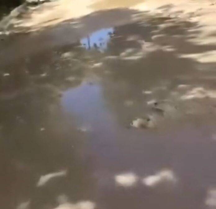 Denuncian Hoyo en Calle Respaldo Duarte que Amenaza Infraestructura Crítica