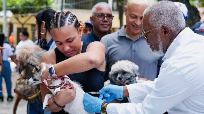 Ministerio de Salud inicia Jornada Nacional de Vacunación contra la Rabia para perros y gatos