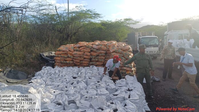 SENPA y Medio Ambiente incautan 1,200 sacos de carbón vegetal