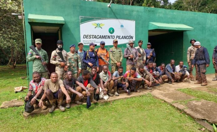 Detienen a 10 haitianos por actividades agrícolas ilegales en Los Haitises