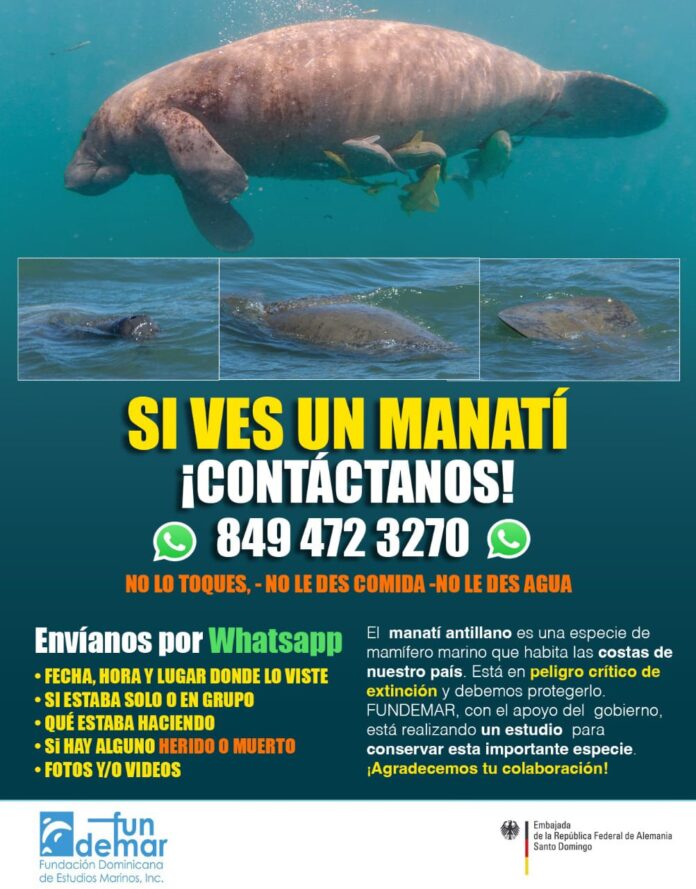 ¿Es la regulación ambiental en RD lo suficientemente rigurosa para proteger nuestra biodiversidad?