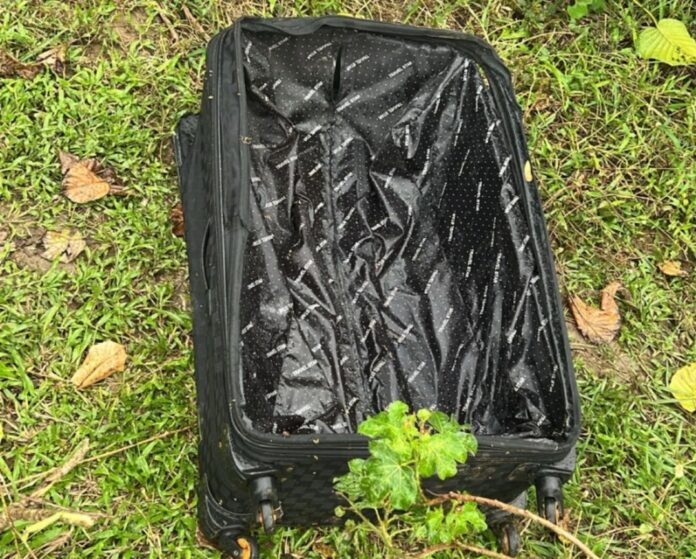 Detienen a abogado y cómplice por la muerte de profesora jubilada en Haina