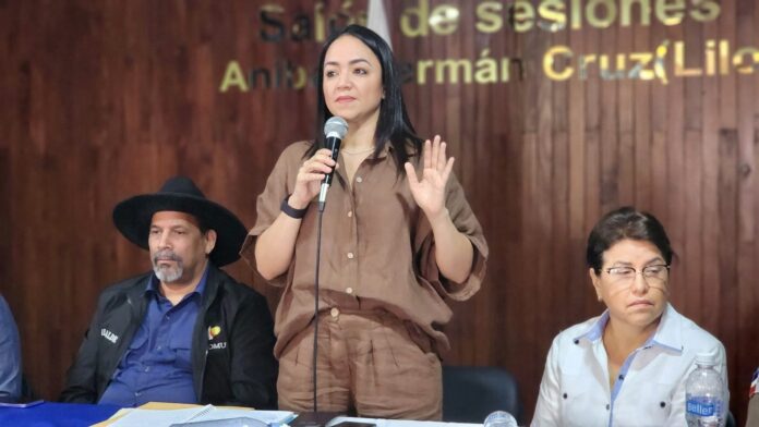 Faride Raful: limitar venta de alcohol ayudaría a bajar la delincuencia