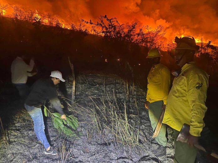 Incendio forestal en Dajabón destruye 180 tareas; bomberos y Defensa Civil logran sofocarlo