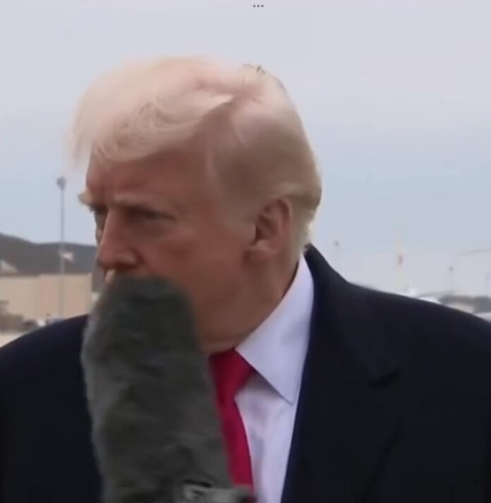 Microfonazo de reportera a Trump provoca su reacción: «¿Vieron eso?»