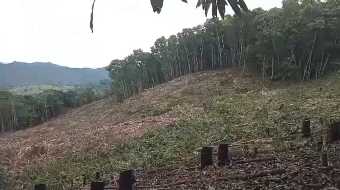 Comunidades denuncian impacto ambiental por construcción de presa