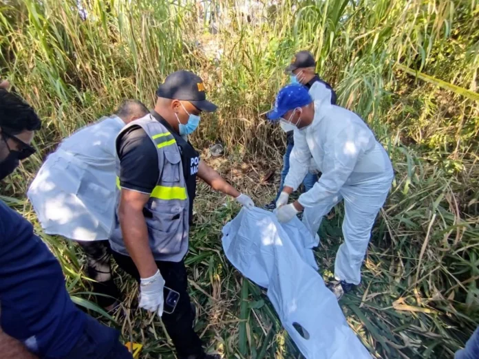 Investigan hallazgo de osamenta en Moca: ¿Es Alfred Joel Fernández, el taxista desaparecido?