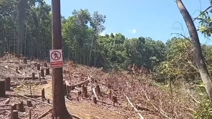 Denuncian nueva intervención de la Barrick Gold en zona boscosa de la cabecera del río Naranjo