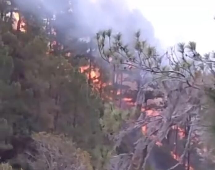 Incendio forestal avanza sin control en Los Tramojos y La Ciénaga; comunitarios claman por ayuda oficial