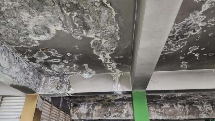 Alarma en Sabaneta: comedor económico opera en ruinas y pone en riesgo a usuarios