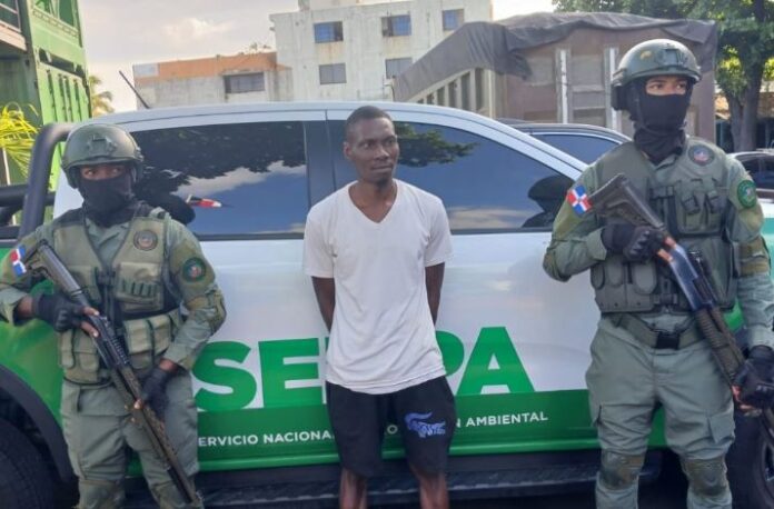 Arrestan a haitiano por cazar tiburón en veda permanente en San Pedro de Macorís