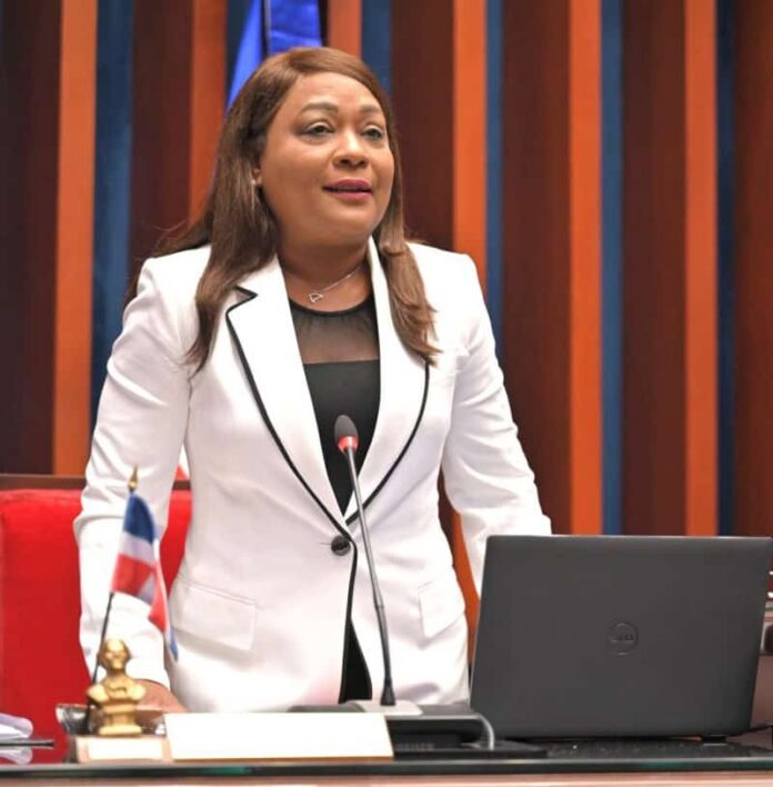 Senadora Aracelis Villanueva, del PRM, somete proyecto para impartir igualdad de género como materia obligatoria en las escuelas