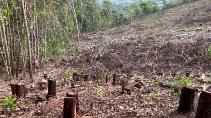 “El agua vale más que el oro”: comunidad de Cotuí continuan en vigilia contra Barrick Gold en defensa río Naranjo que abastece a más de mil familias