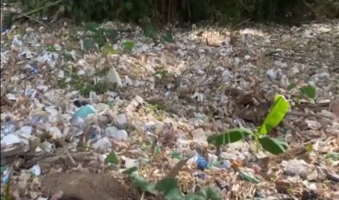UTECO expresa preocupación por acumulación de desechos sólidos en el río Capacho durante su Semana Medioambiental