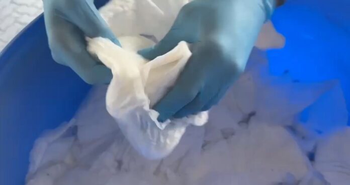 Autoridades ocupan marihuana oculta en guantes quirúrgicos dentro de pañales en el puerto de Haina Oriental