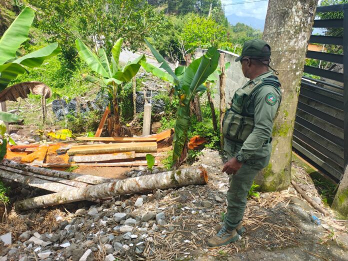Medio Ambiente recupera parte del Parque Nacional La Humeadora en operativo coordinado con fuerzas del orden.