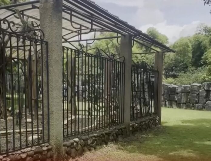Jompeame alerta sobre posible reducción del Jardín Botánico para ampliar avenida en Santo Domingo