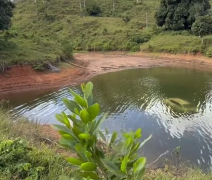 Vehículo hallado en lago de Hatillo habría sido usado en acto de sicariato