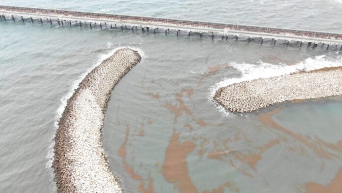 Punta Catalina saca de operación su Unidad 1 por obstrucción de sargazo tras el paso del huracán Erin