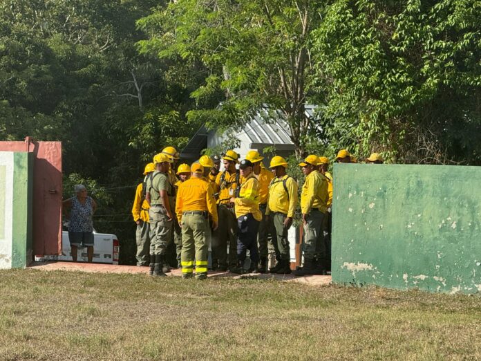 Incendios forestales en el Parque Nacional Armando Bermúdez bajo control parcial; refuerzan labores con más brigadistas