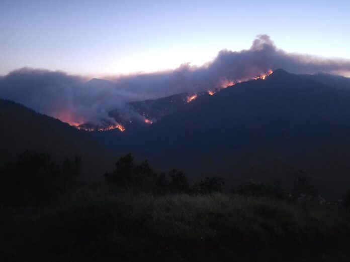 Bomberos y Medio Ambiente enfrentan dificultades para contener incendio forestal que amenaza comunidad de Mata Grande