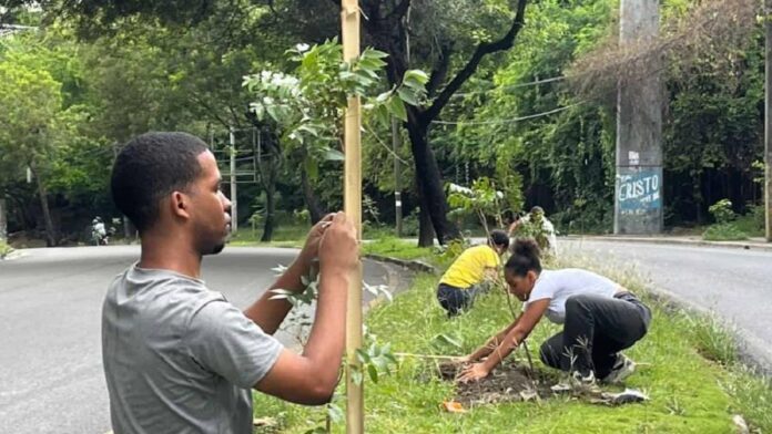 Fundación Ecológica Renacer desarrolla jornada de reforestación en Cristo Rey.