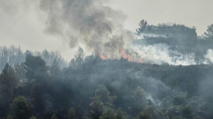 Un muerto y nueve heridos en un incendio forestal en el sur de Francia.