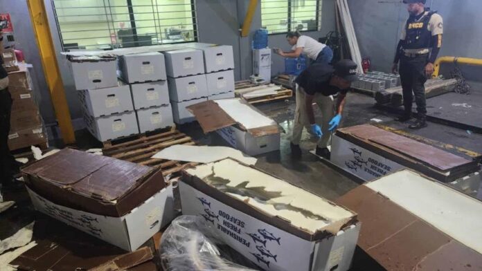 Autoridades dominicanas incautan 58 kilos de cocaína ocultos en cargamento de pescado con destino a Miami.