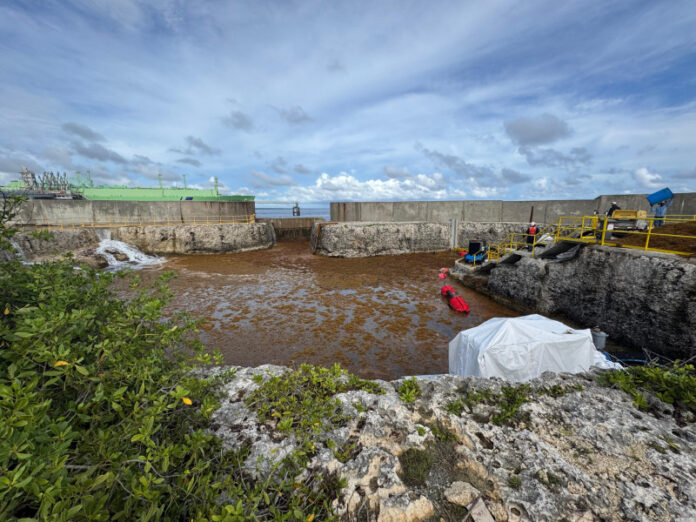 Planta AES Andrés sale de operación temporalmente por acumulación de sargazo