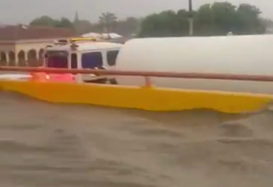 WhatsApp Image 2025-10-30 at 9.50.51 PM