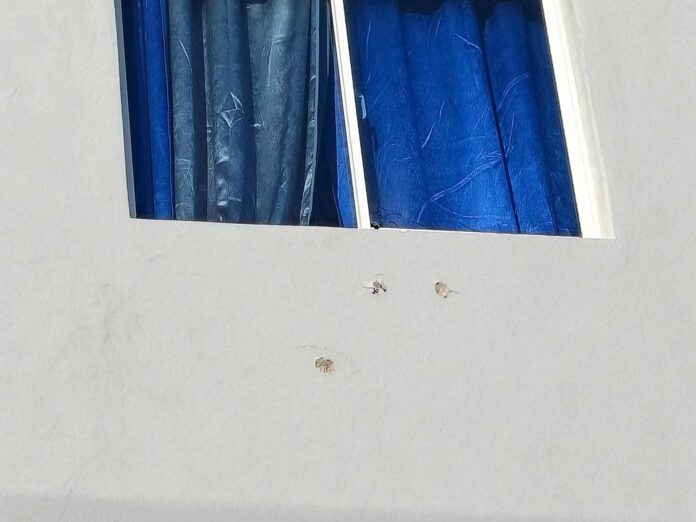 Desconocidos tirotean vivienda del alcalde de Navarrete; esposa e hijo se salvan de milagro