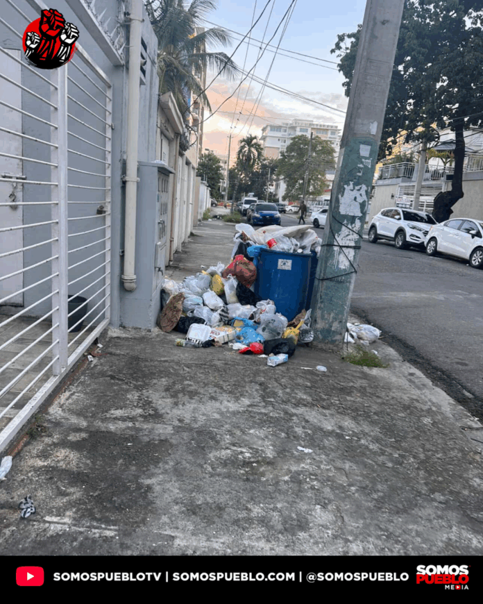 Denuncian pobre atención a la recogida de basura en la Zona Universitaria