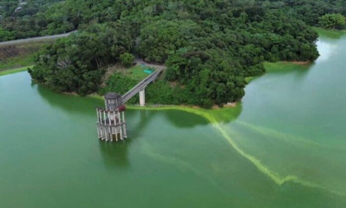 Aguas verdes en la Presa de Hatillo generan preocupación ambiental en Sánchez Ramírez
