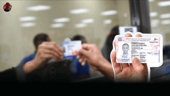 Intrant establece que renovación de nueva licencia de conducir solo aplicará para documentos vencidos