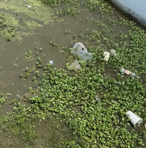 Denuncian enorme hoyo y aguas residuales próximo a cementerio de San Francisco de Macorís