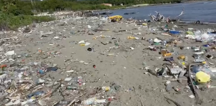 Rodeados de aguas negras, el día a día en Nuevo Renacer